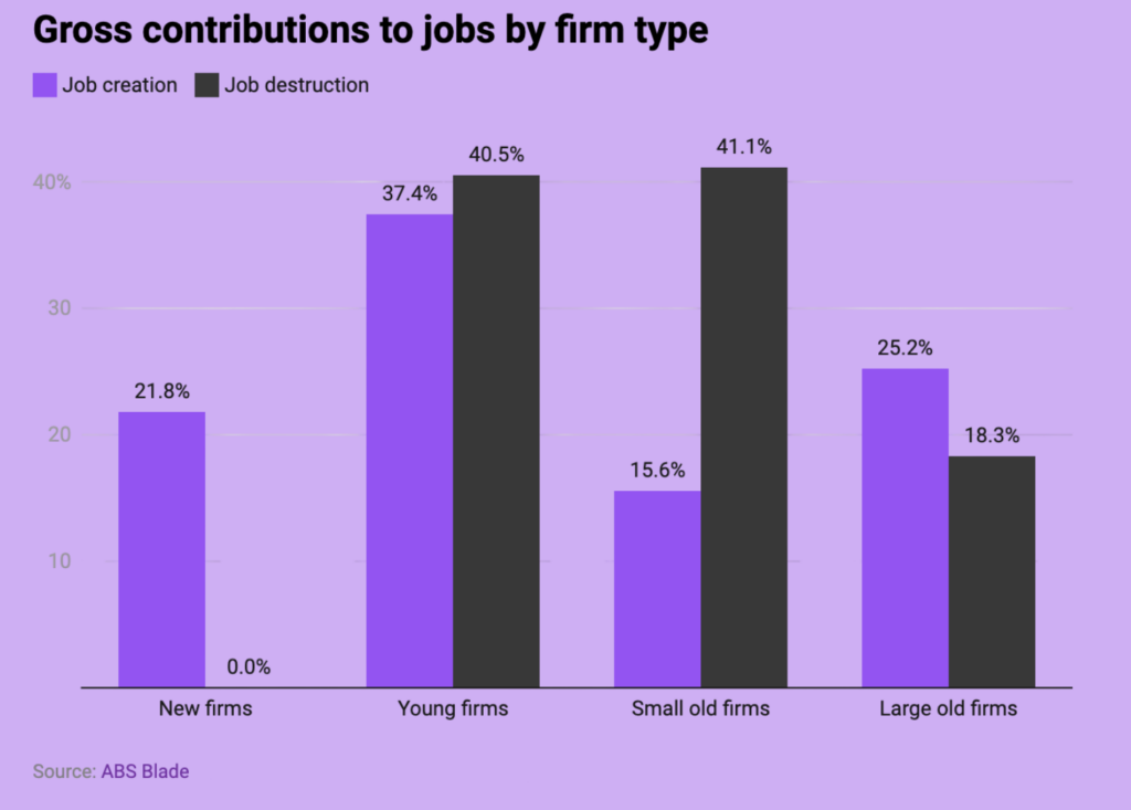 A bar chart showing the gross contributions to jobs by firm type/