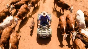 Jobs Report Round-Up Reveals Highest-Paid, Hardest-Working Australians