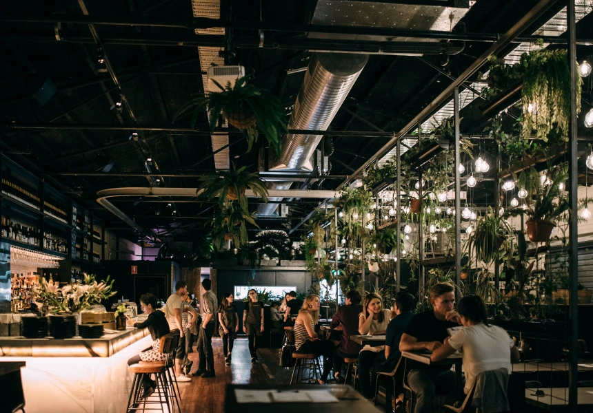 A cozy, modern indoor café with lush hanging plants and warm lighting. People seated at tables create a lively, inviting atmosphere.